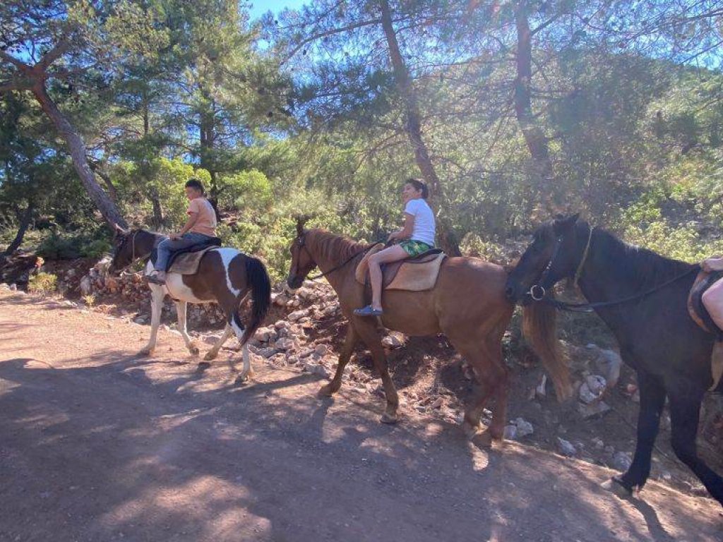 HORSE RIDING